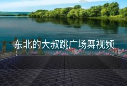 东北的大叔跳广场舞视频