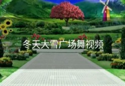 冬天大雪广场舞视频