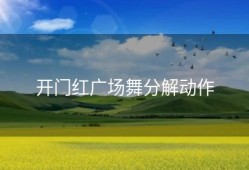 开门红广场舞分解动作