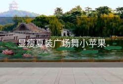 显瘦夏装广场舞小苹果