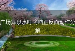 广场舞泉水叮咚响正反面动作分解