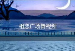 相恋广场舞视频