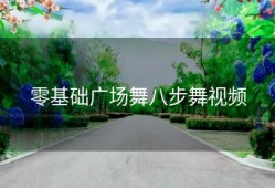 零基础广场舞八步舞视频