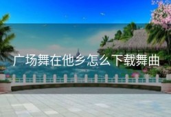 广场舞在他乡怎么下载舞曲