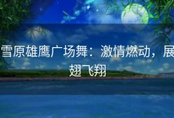 雪原雄鹰广场舞：激情燃动，展翅飞翔