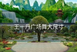 王一丹广场舞大尺寸