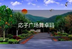 応子广场舞卓玛