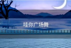 哇你广场舞