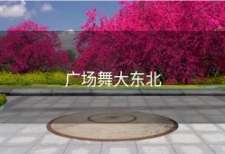广场舞大东北