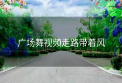 广场舞视频走路带着风