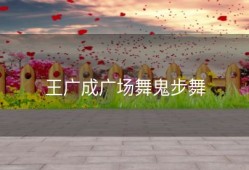 王广成广场舞鬼步舞