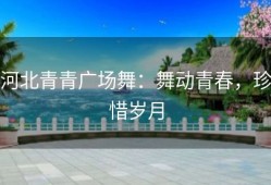 河北青青广场舞：舞动青春，珍惜岁月