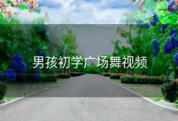 男孩初学广场舞视频