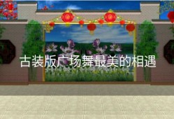 古装版广场舞最美的相遇