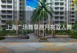 上海广场舞草原月亮双人舞