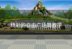 精彩的自由广场舞教学