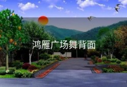 鸿雁广场舞背面