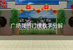 广场舞拍打操教学分解