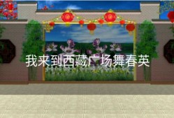 我来到西藏广场舞春英