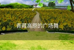 青藏高原的广场舞