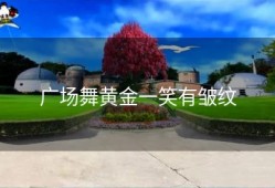 广场舞黄金一笑有皱纹