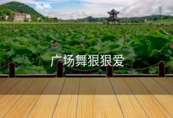 广场舞狠狠爱