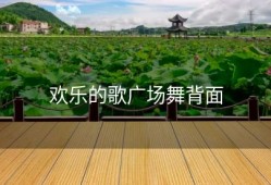 欢乐的歌广场舞背面