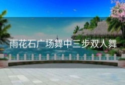 雨花石广场舞中三步双人舞