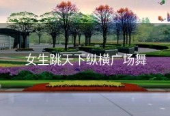 女生跳天下纵横广场舞