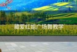 藏爱红姐广场舞教学