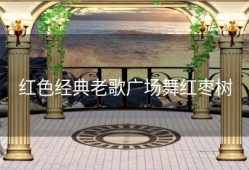 红色经典老歌广场舞红枣树