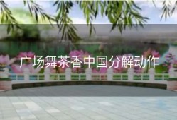 广场舞茶香中国分解动作