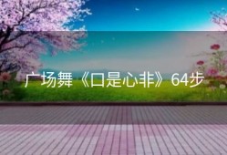 广场舞《口是心非》64步