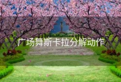 广场舞斯卡拉分解动作