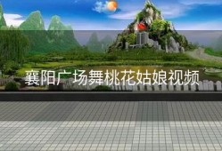 襄阳广场舞桃花姑娘视频