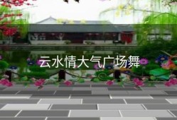 云水情大气广场舞