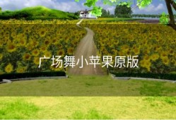 广场舞小苹果原版