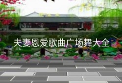 夫妻恩爱歌曲广场舞大全
