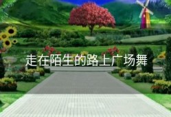 走在陌生的路上广场舞