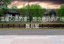 温暖心灵的家：想念爸妈的广场舞共聚
