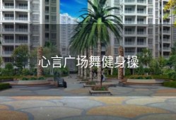 心言广场舞健身操
