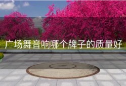 广场舞音响哪个牌子的质量好