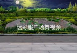 迷彩服广场舞视频