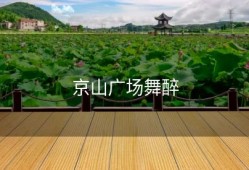 京山广场舞醉