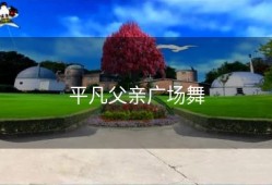 平凡父亲广场舞