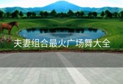 夫妻组合最火广场舞大全