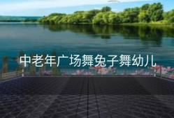 中老年广场舞兔子舞幼儿