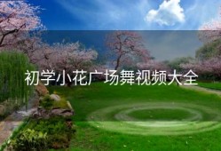 初学小花广场舞视频大全