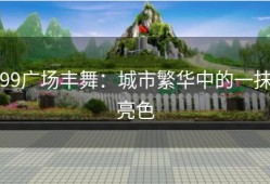 99广场丰舞：城市繁华中的一抹亮色