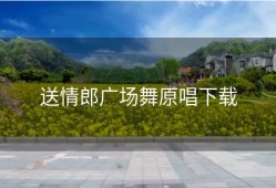 送情郎广场舞原唱下载